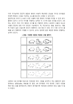 유아기 지각발달(형태지각, 방향지각, 거리지각, 색깔지각, 시간지각)-4