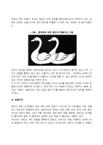 유아기 지각발달(형태지각, 방향지각, 거리지각, 색깔지각, 시간지각)-7