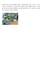 창업아이템개발팀 신청서 꽃 카페-8