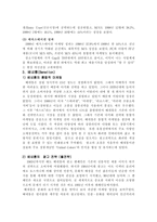 통합적 마케팅 커뮤니케이션 Communication 전략과 사례-19