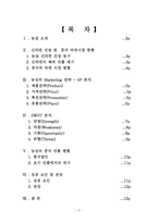 농심 신라면의 중국 진출 성공사례에 관한 조사-2