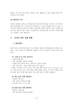 농심 신라면의 중국 진출 성공사례에 관한 조사-10