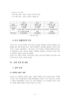 농심 신라면의 중국 진출 성공사례에 관한 조사-11