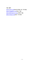 농심 신라면의 중국 진출 성공사례에 관한 조사-13