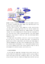 품질 보증시스템 식스시그마 ISO 9000-13