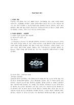 독점기업의 예시-1