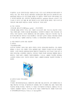 독점기업의 예시-2