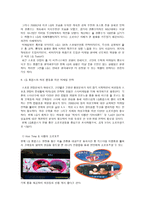 스포츠 소비자행동론 LGTwins여성팬들을 위한 구단 마케팅 과제 안-3