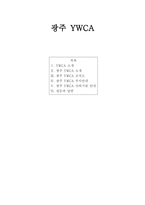 광주 YWCA광주 YWCA조직도-1