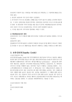 선하증권의 위기와 대책 보고서-9