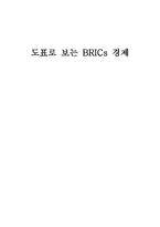 도표로 보는 BRICs경제 세계의 주목을 받는 BRICs경제-1