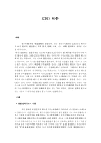 CEO 세종 레포트-1