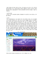 관광정보전달방법 중 가장 효과적인 방법-2