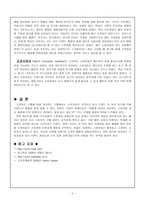 기업 제품으로 살펴본 저 관여 소비자 의사결정-2