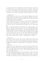 삼성 휴대폰‘애니콜’ 중국시장 성공 진출전략 분석-6