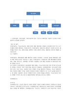 국제화 진행단계 기준 국제조직유형-4