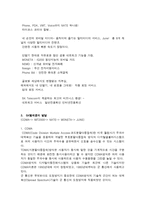 SK텔레콤을 조사 21세기를 살아가는 우리에게 인터넷은 아주 친숙한 존재이다-6
