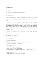 SK텔레콤을 조사 21세기를 살아가는 우리에게 인터넷은 아주 친숙한 존재이다-14
