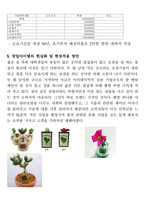 창업아이템개발팀 신청서 애완식물 도소매업-12