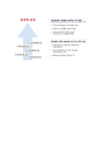 초국적 조직 레포트-4