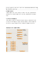 국제물류운송론 항공운송-11