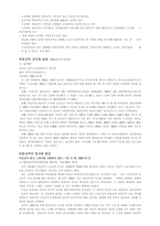 아웃소싱과 비정규직-3