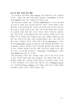 한국 패션 브랜드의 글로벌 마케팅 전략미국 진출 사례-8