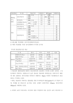우리나라 자동차 정책의 문제점-4