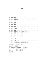 WTO 분쟁해결 제도의 원칙과 절차-2