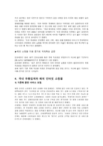 해외 인터넷 쇼핑몰과 국제경영1-8