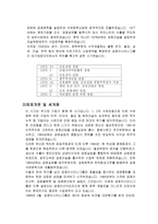 아시아나항공그룹 분석 보고서-4
