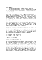 관세 전적 부심 사제도 보고서-13