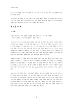 세계경영환경의 변화와 기업에 미치는 영향-13