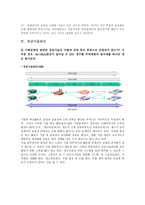 현대자동차의 NF소나타 생산운영관리-8
