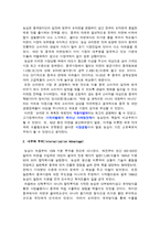 절충 이론 관점에서 본 농심 의대 중국 직접투자 FDI-2