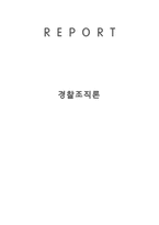 경찰 조직의 계층 성과 경찰 관료제의 기초이론-1