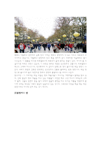 스페인 마드리드 관광-10