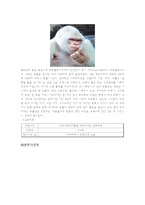스페인 마드리드 관광-13