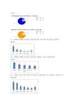 다음 DAUM마케팅 전략 분석-7