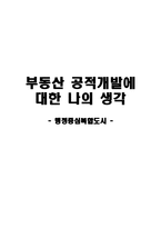 부동산 공적개발에 대한 나의 생각 행정중심 복합도시-1