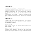 부동산 공적개발에 대한 나의 생각 행정중심 복합도시-2