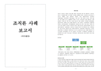 조직론 사례 의사결정 보고서-1