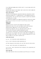정기선 운송 레포트-9