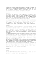 넥슨 기업보고서-5