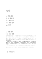 삼천리자전거 기업분석 보고서-2