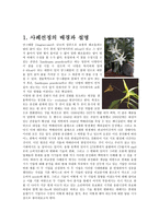 아이리버 아이팟 마케팅 전략-1