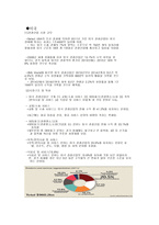 한일 중미의 관광산업의 비교와 우리나라 관광산업의 발전전략-9