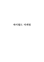 싸이월드 마케팅-1