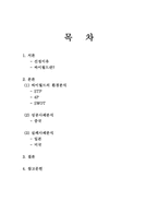 싸이월드 마케팅-2