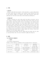 싸이월드 마케팅-3